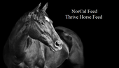 NorCal Feed Thrive Horse Feed